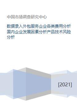 軟件外包服務企業多維剖析 成本結構、發展要素與技術風險管理